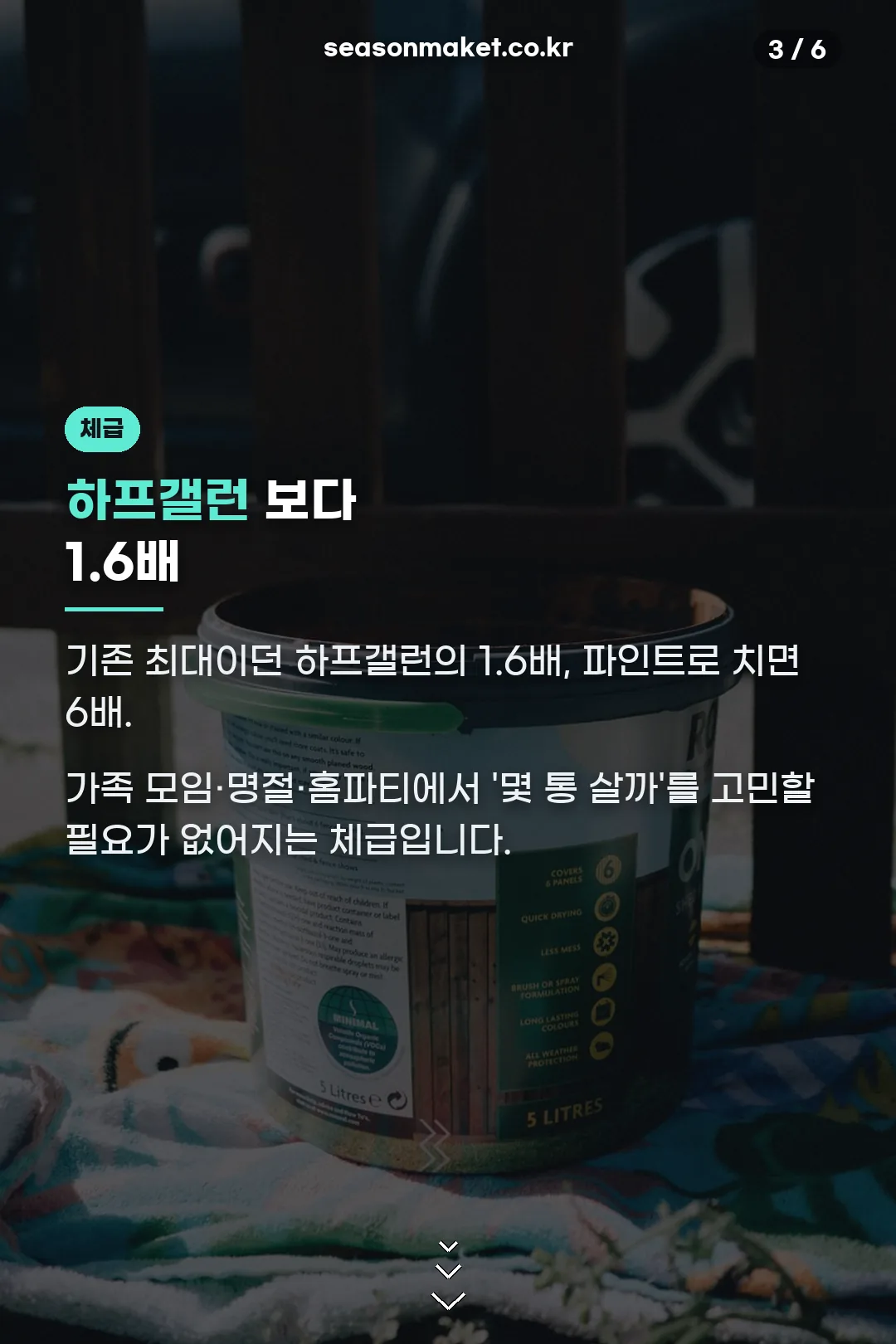 체급 비교