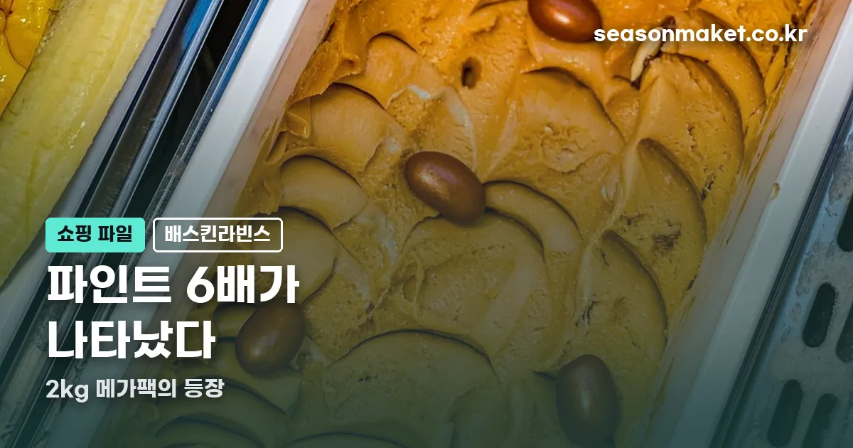 베라 메가팩 정리 썸네일