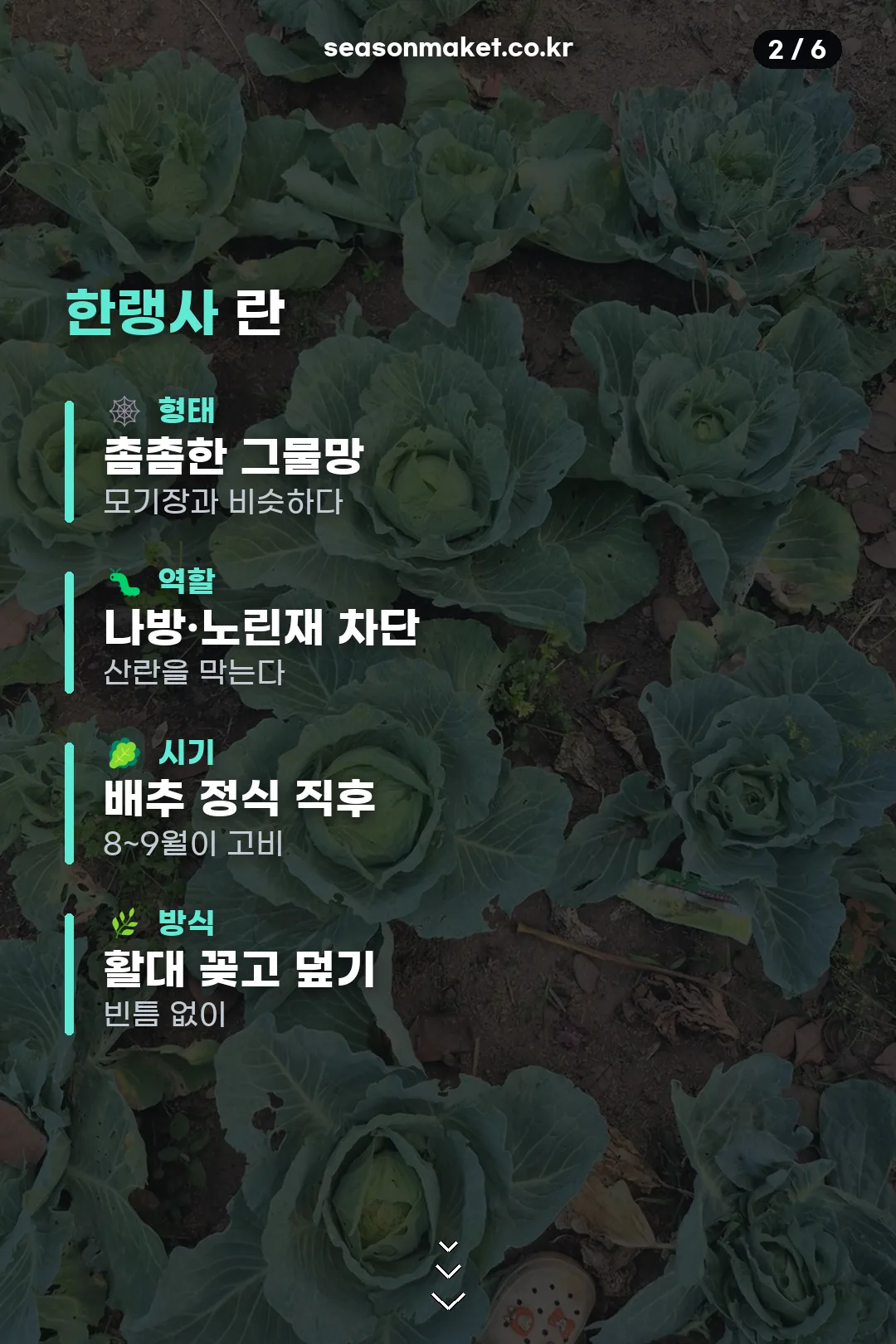 한랭사 정보