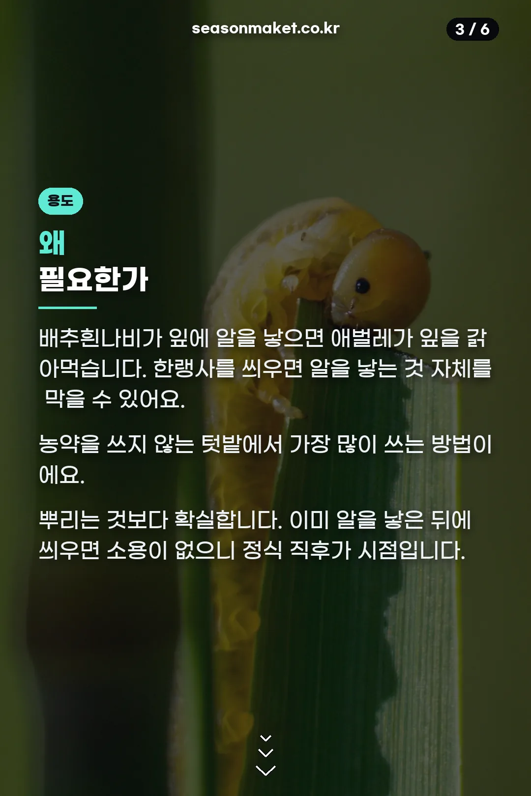 필요한 이유
