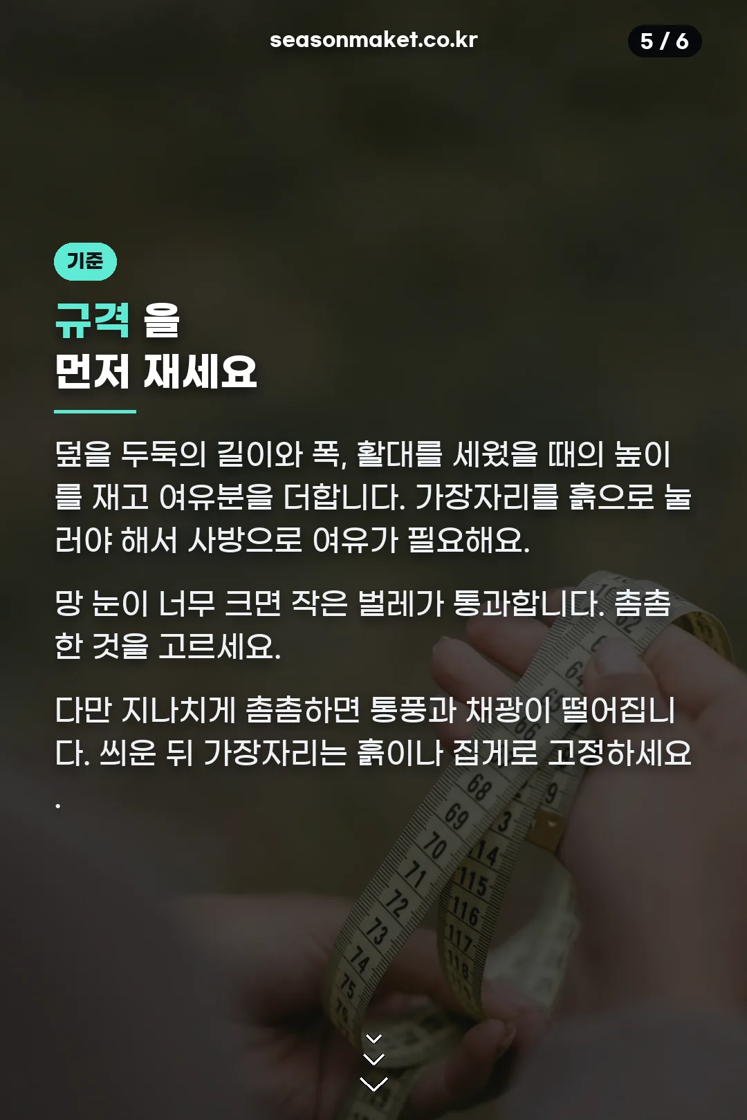 규격 기준