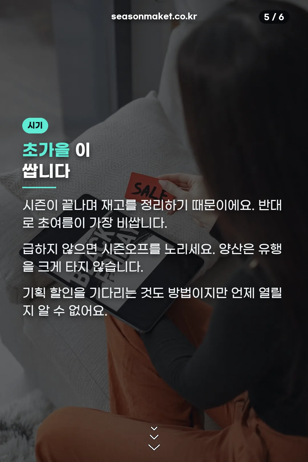 구매 시기