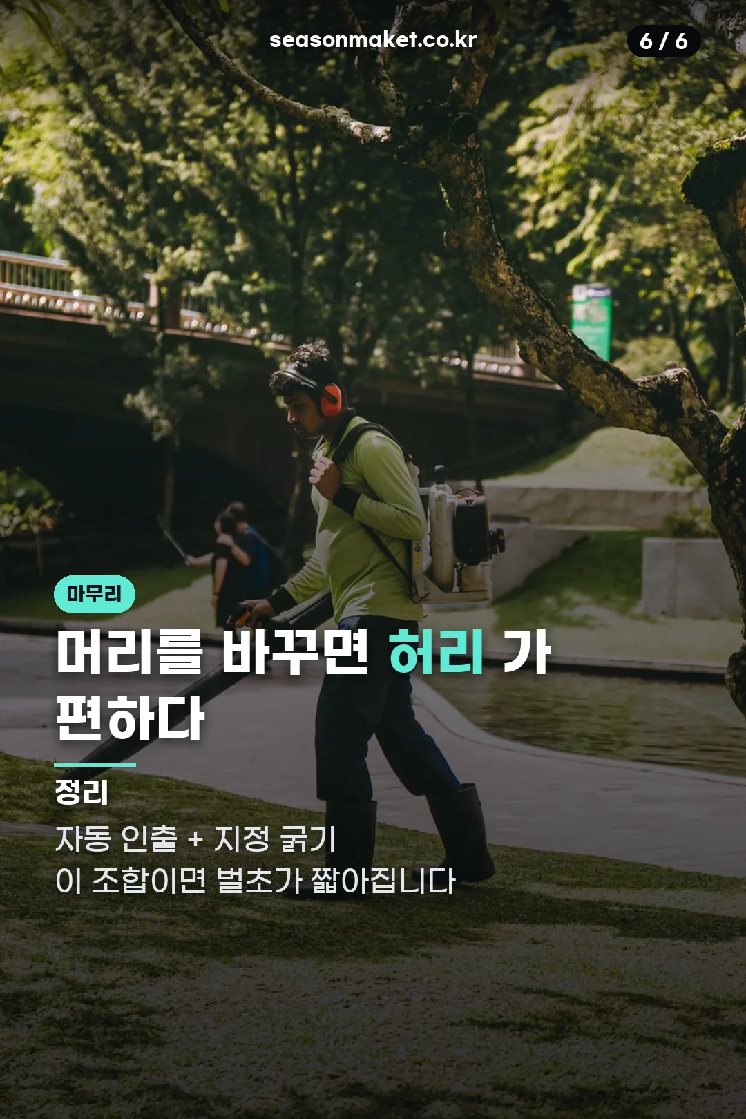 벌초 마무리