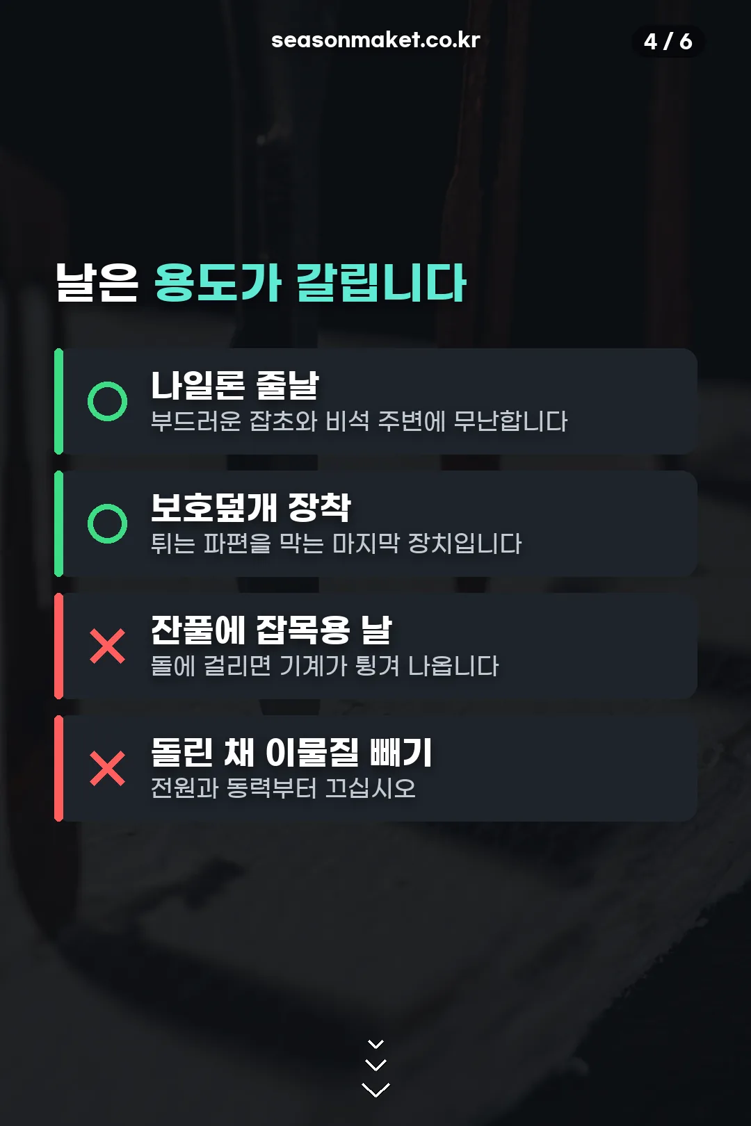 날 종류 선택