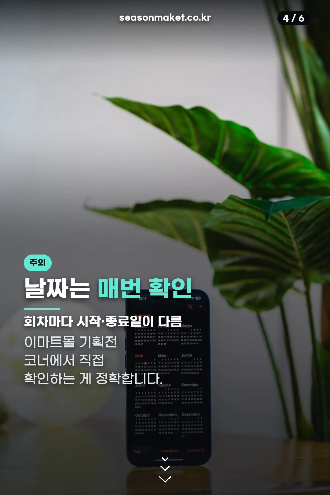 날짜는 매번 확인