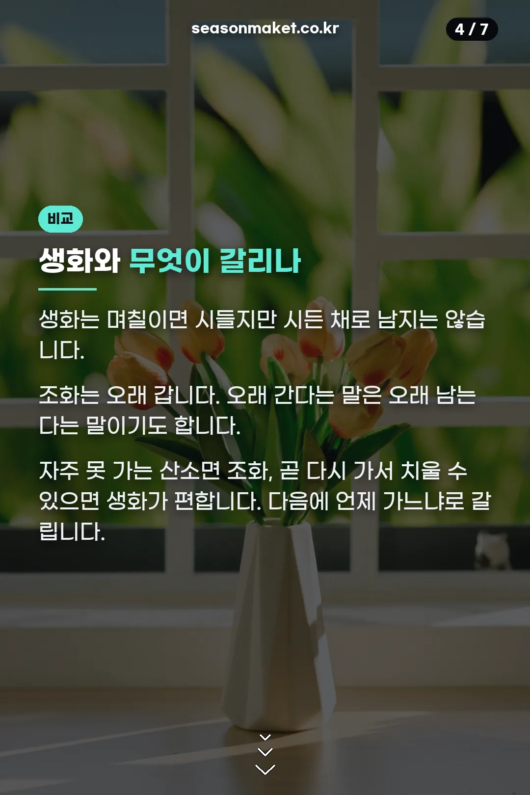 생화와 조화 비교