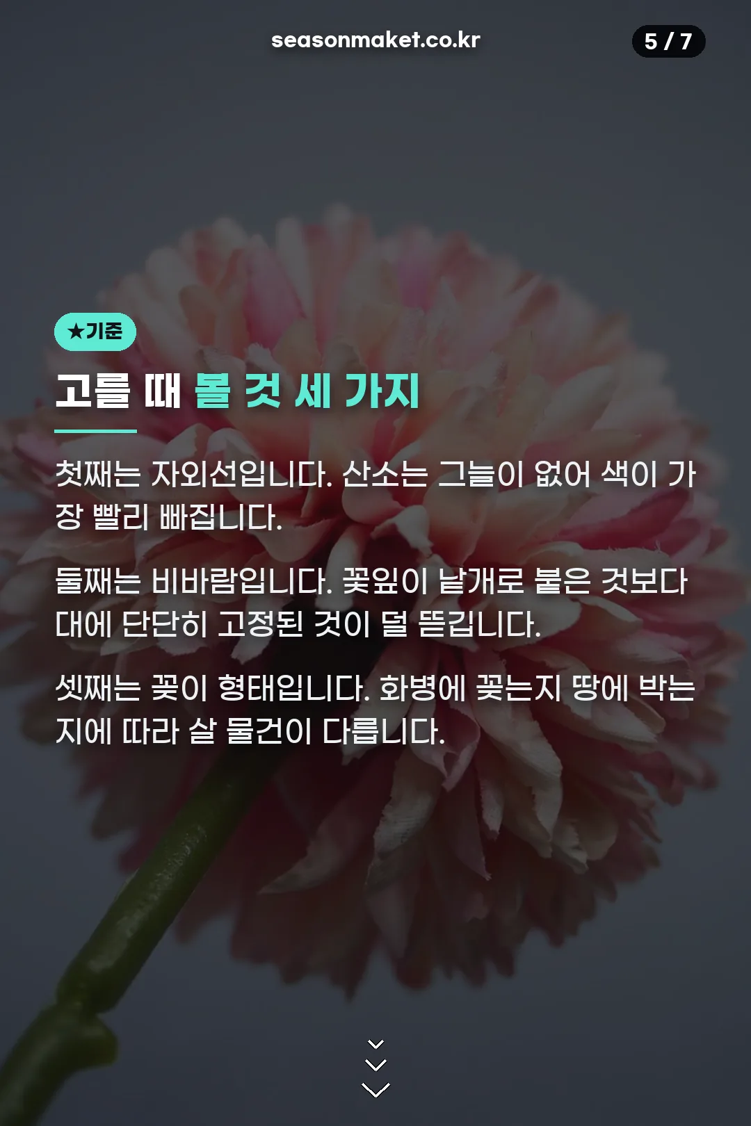 고를 때 볼 기준