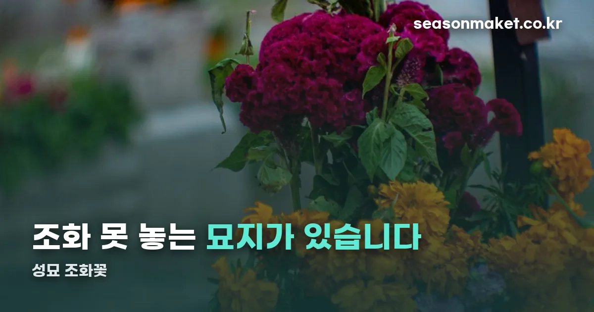 성묘 조화꽃 정리 썸네일