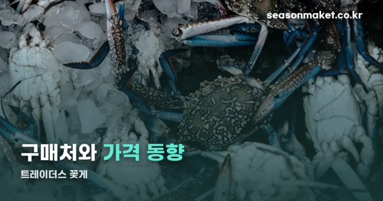 트레이더스 꽃게 — 온라인 구매처와 가격 동향 정리
