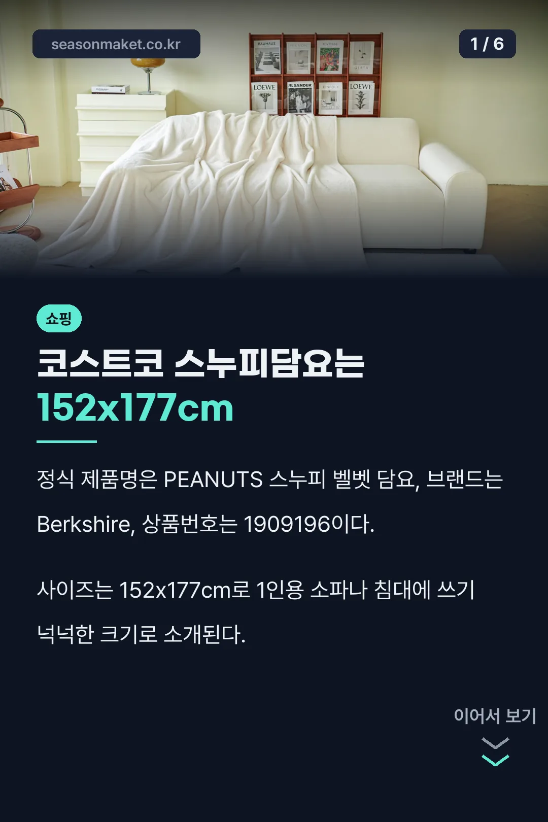 코스트코 스누피담요 표지
