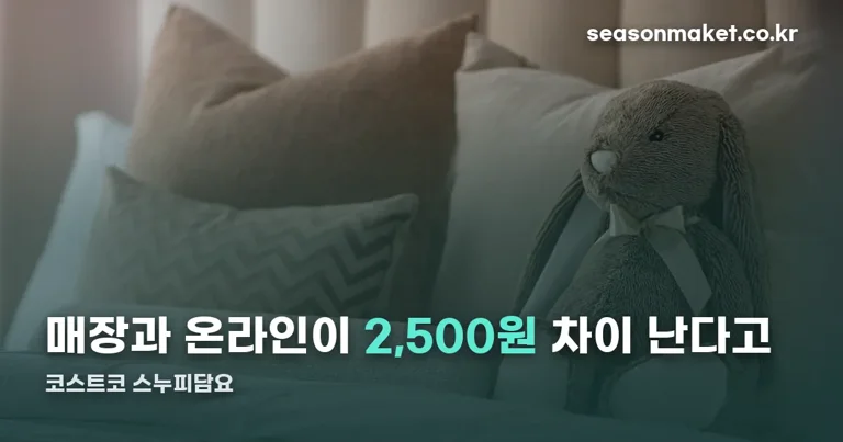 코스트코 스누피담요 정리 썸네일