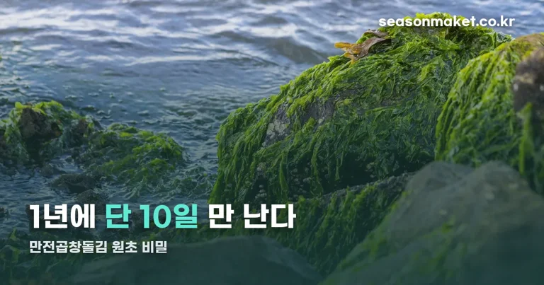 만전곱창돌김 정리 썸네일