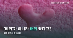 베라 몬치치 리유저블, 정확한 이름은 몬치치 플레이 컵입니다