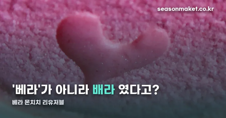베라 몬치치 리유저블 정리 썸네일
